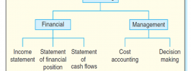 financial and management accounting