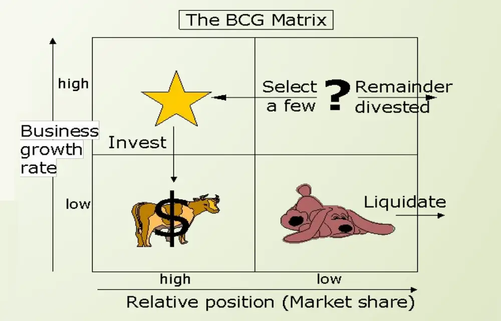 BCG matrix explained