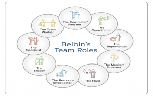 Belbin team roles