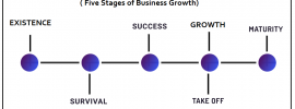 Churchill and Lewis Growth Stage Model - Five Stages of Business Growth