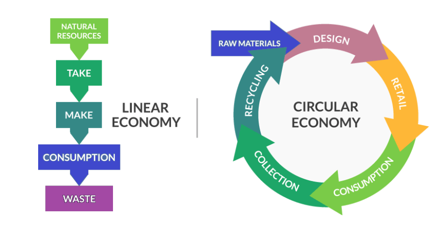 circular vs linear economy