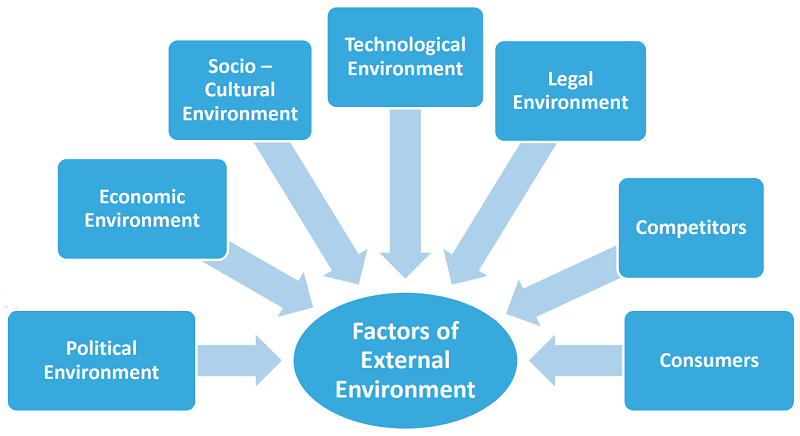 literature review on analysis of external environment