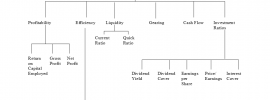 financial ratios analysis