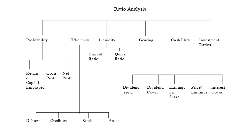 financial ratios analysis