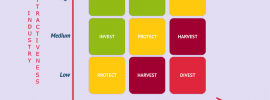 GE-McKinsey Matrix / Directional Policy Matrix