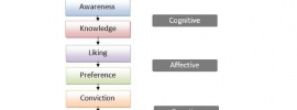 Hierarchy of effects theory