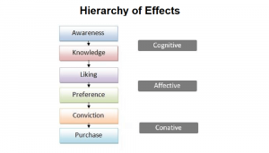 Hierarchy of effects theory