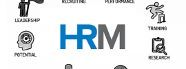 Human Resource Management (HRM)