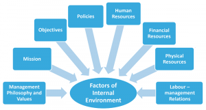 internal environment factors