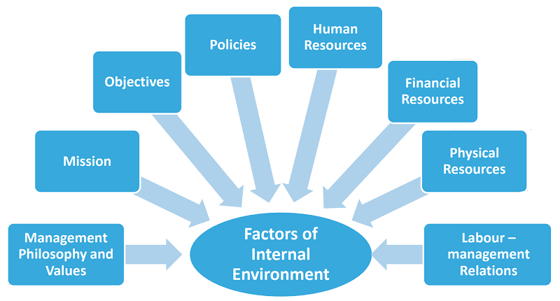 Internal Environment Factors