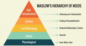 Maslows Need Hierarchy theory