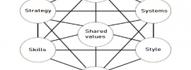 Mckinsey 7s framework