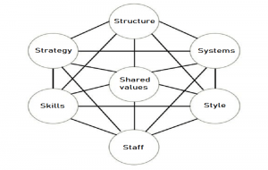 Mckinsey 7s framework