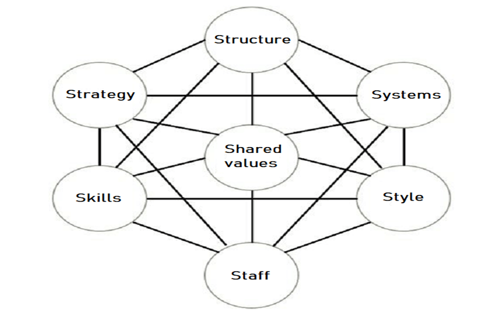 Mckinsey 7s framework