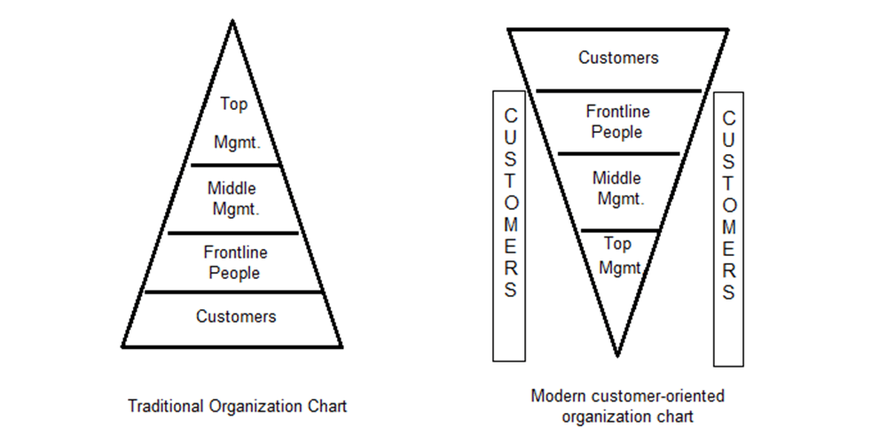 modern customer oriented organizational chart