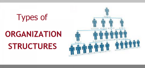 organizational structures