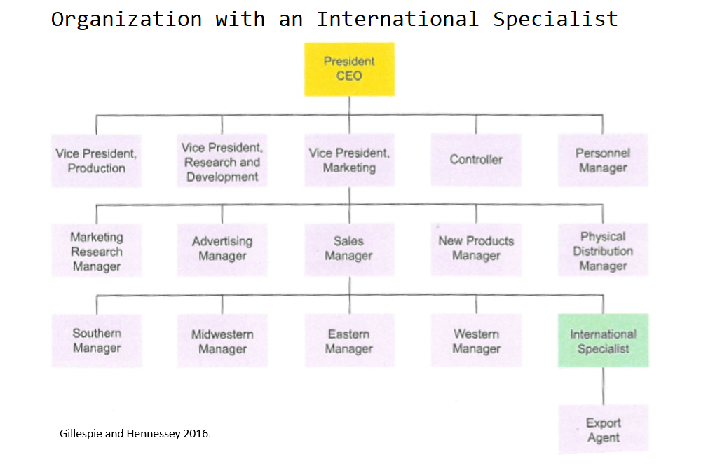 Organization with an International Specialist