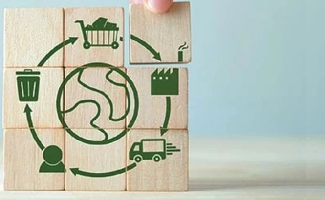 sustainable business