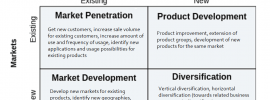 The Ansoff Matrix