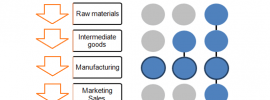 levels of vertical integration